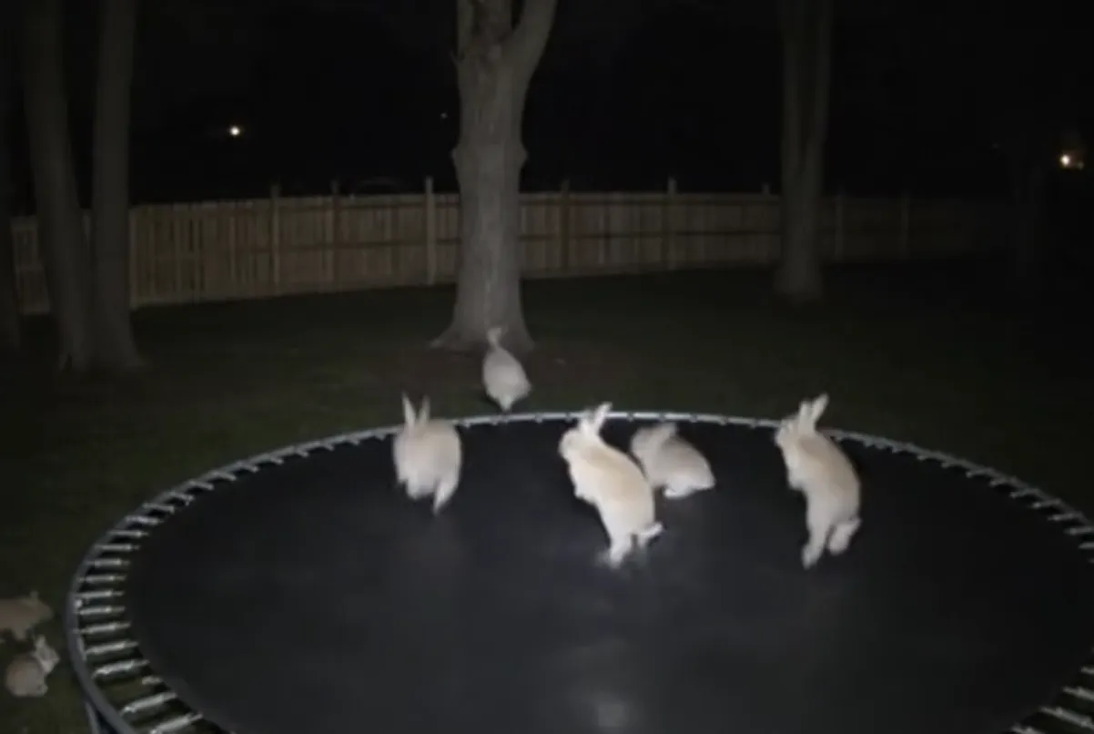 Deepfakes and misinformation example